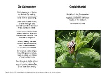 Die-Schnecken-Busch.pdf